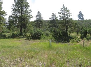 587 Santino Place, Pagosa Springs, CO 81147