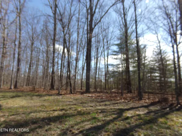 7218 Big Horn Dr, Crossville, TN 38572