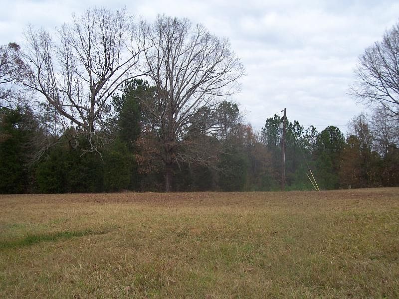 2nd image of 1916 Pineywoods Rd