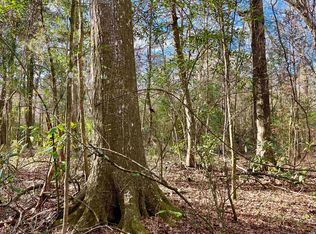 20 Lillian Ln, Ethel, LA 70730