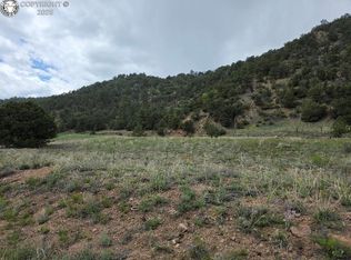 8099 County Road 28, Cotopaxi, CO 81223
