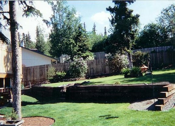 Back yard landscaping