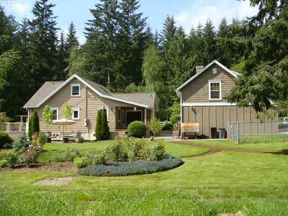 View of the backyard.