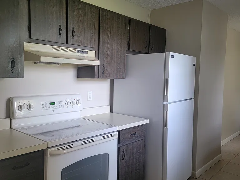 Oven, Range Hood & Refrigerator