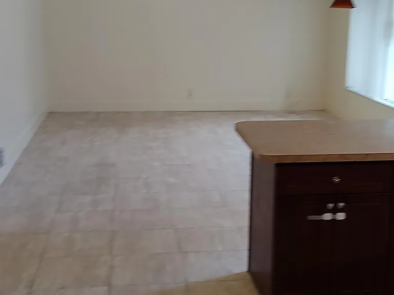 Kitchen and living room - open floor plan