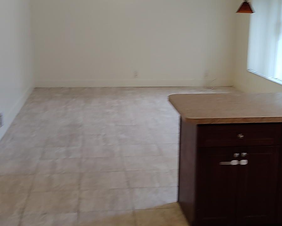 Kitchen and living room - open floor plan