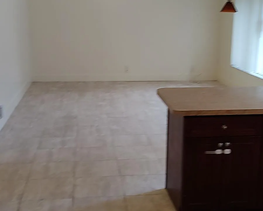 Kitchen and living room - open floor plan