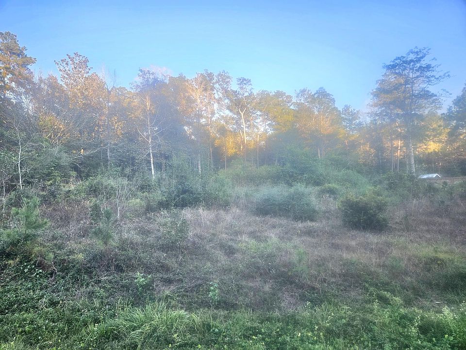 2nd image of 9855 N Park Rd