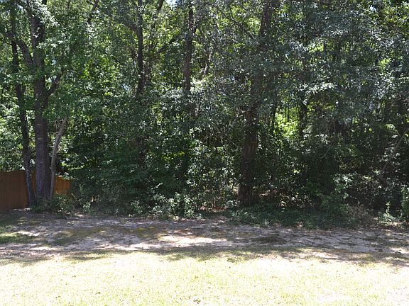 5th image of 248 Wild Olive Dr