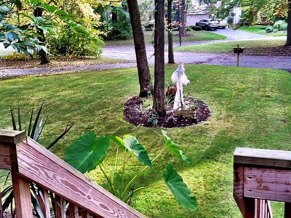 5th image of 8797 Harlow Ln