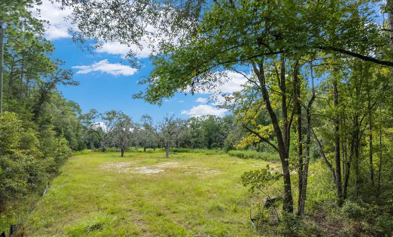 1 bed, 19000 sqft, $3,500 — Photo 4
