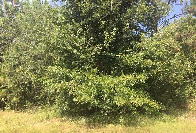 2nd image of 3213 Jacqueline Dr