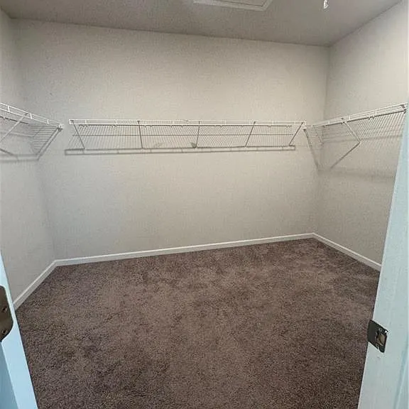 719 Saffron Blvd — Photo 21