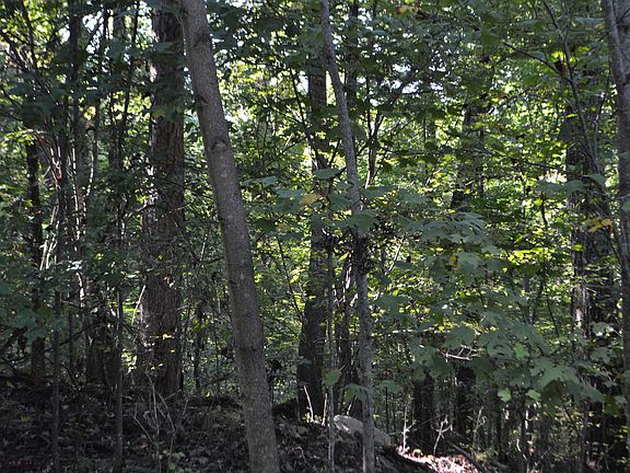 5th image of 0 Scenic Dr #13