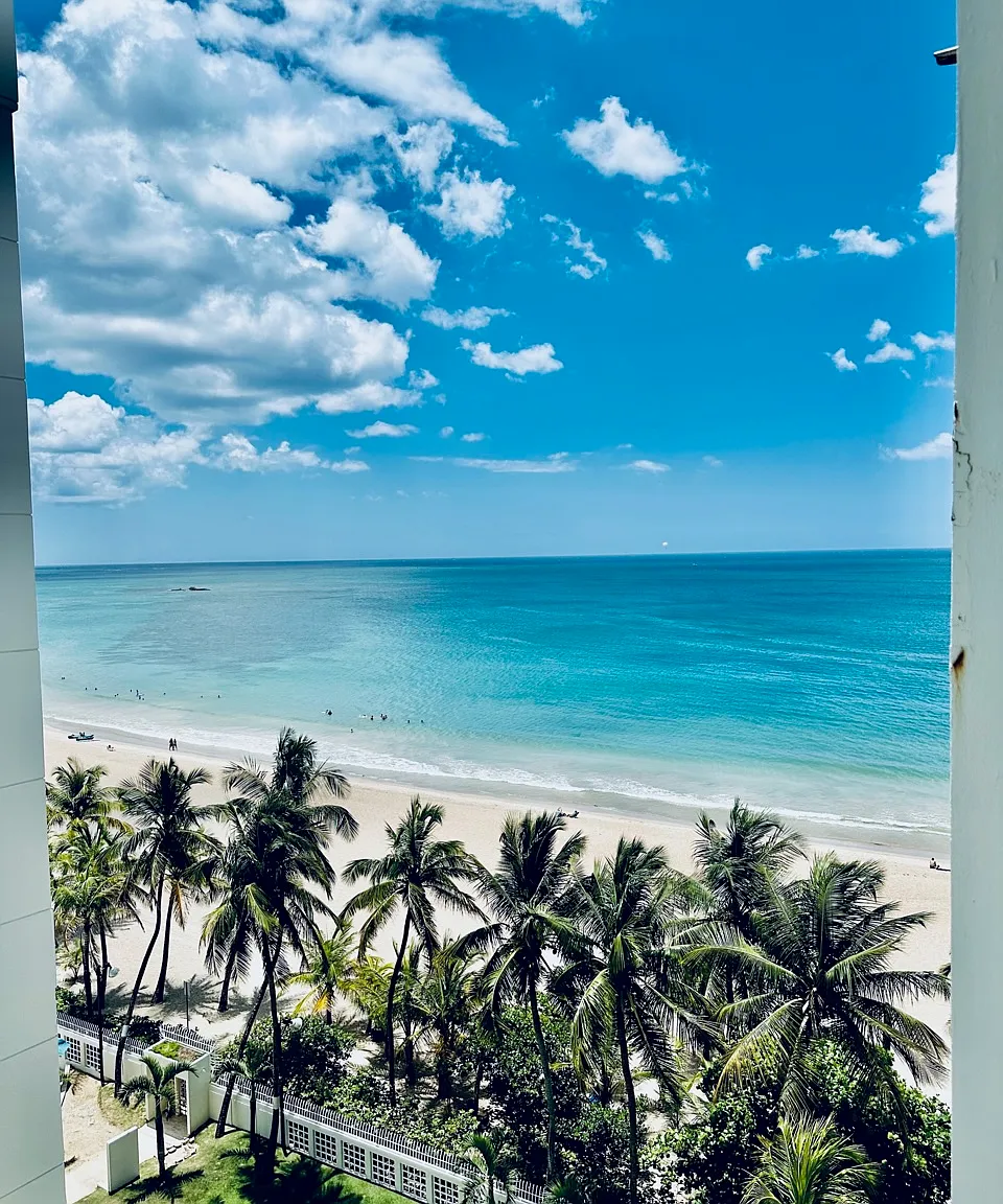 2 bed, $1,900 — Photo 2