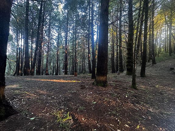 4th image of / Goodman Ranch Rd