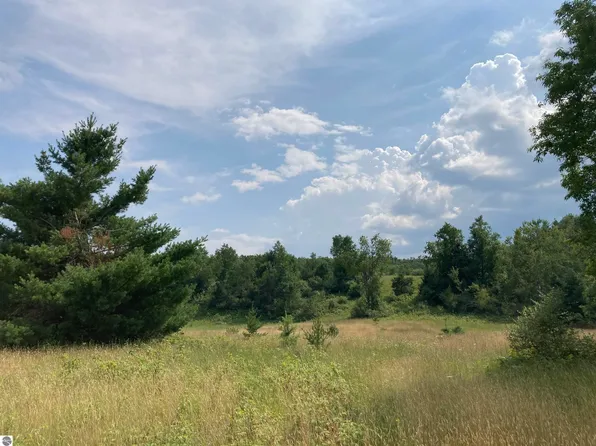 V/l 22a M/l Mayhew Rd, Rose City, MI 48654