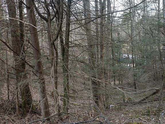 3rd image of S Of Hwy #19