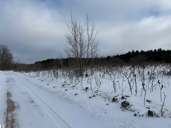 Vl W Houghton Lake Rd, Lake City, MI 49651