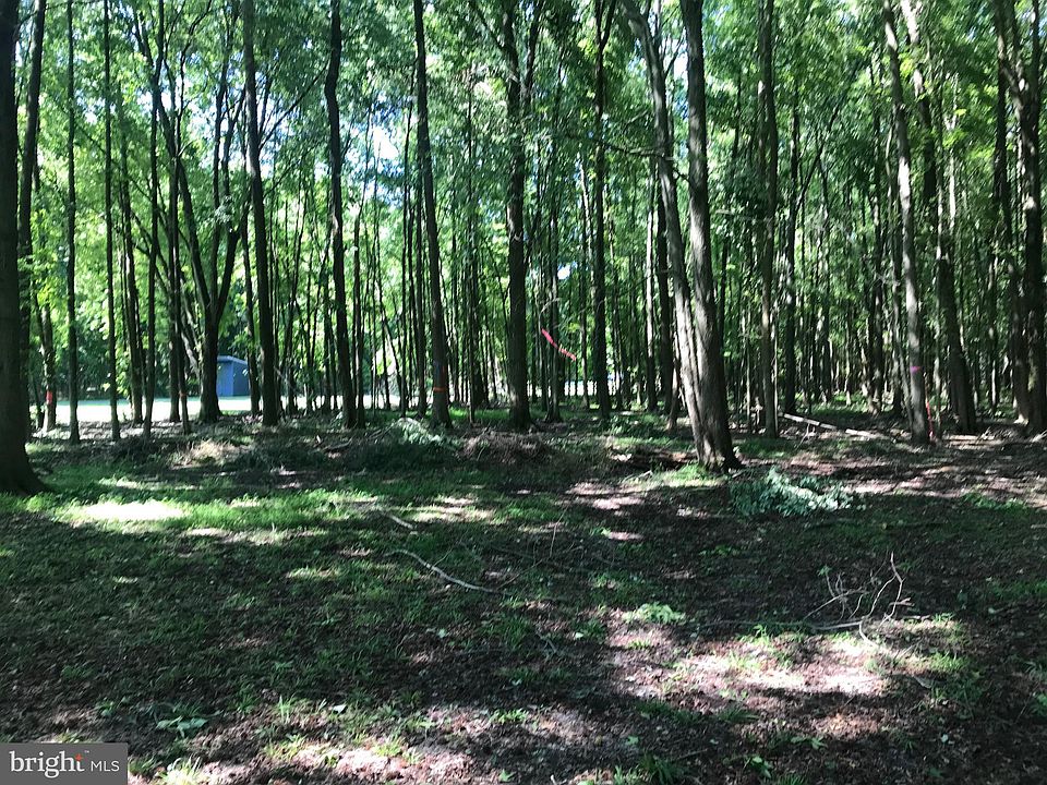 2nd image of 325 Mount Laurel Rd