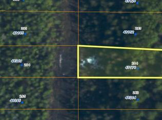 48176 S Dolly Varden Dr, Talkeetna, AK 99676