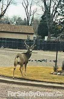 Wildlife viewing common