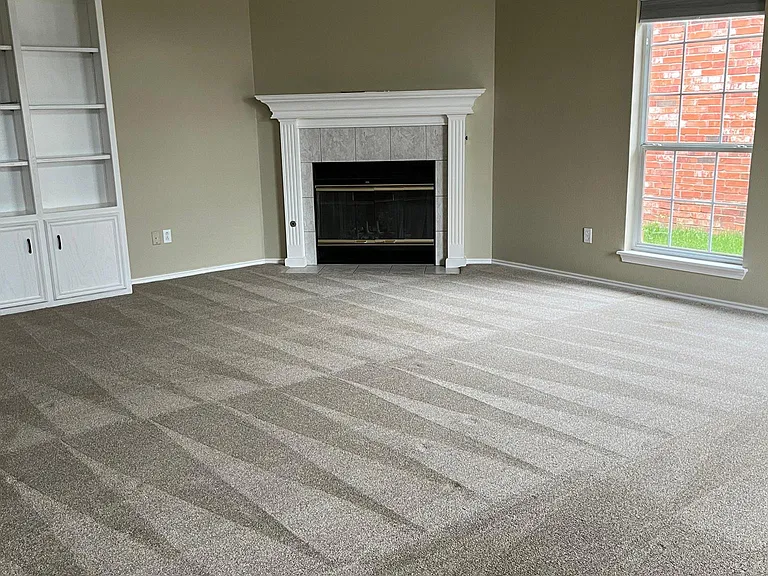 Fireplace and bookcase in living room