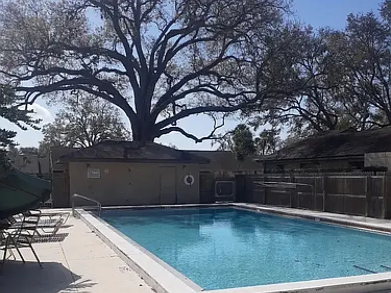 217 Scottsdale Loop — Photo 8