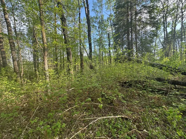 2045 County Road 47 NE, Longville, MN 56655