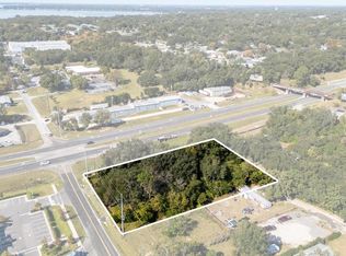 2009 Robie Ave, Mount Dora, FL 32757