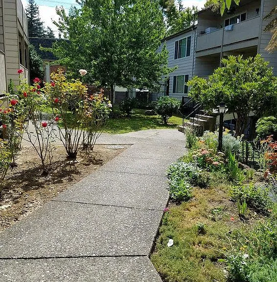 Rochelle Apartments — Photo 14