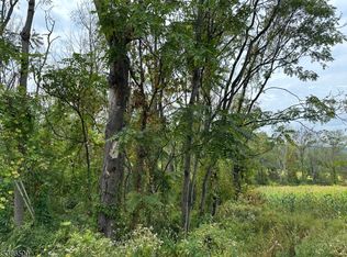 393 Mountain Lake Rd, Great Meadows, NJ 07838