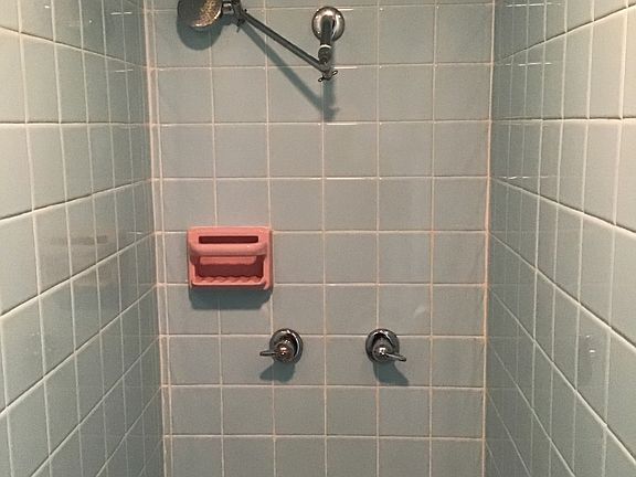 Master shower (walk in)