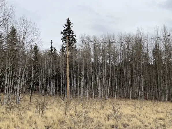 688 Ouray Trl, Como, CO 80432