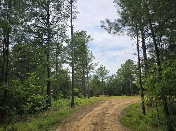 311 Pinhook Rd, Calhoun, TN 37309