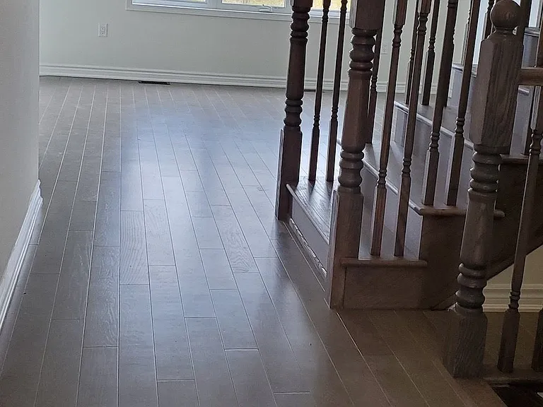 557 Queen Mary Dr — Photo 3