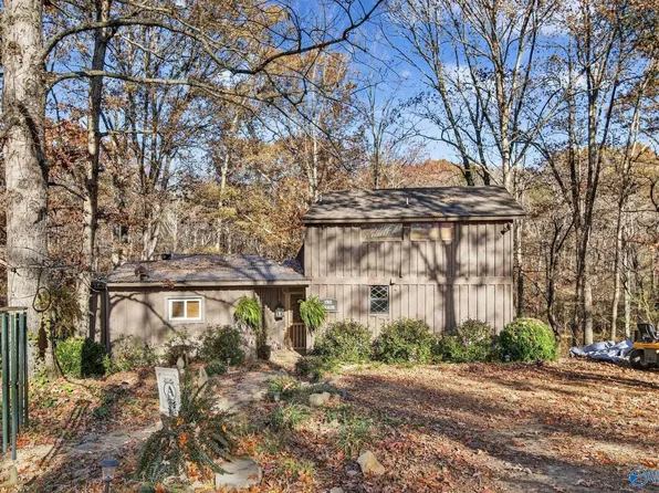 1361 County Road 114, Valley Head, AL 35989