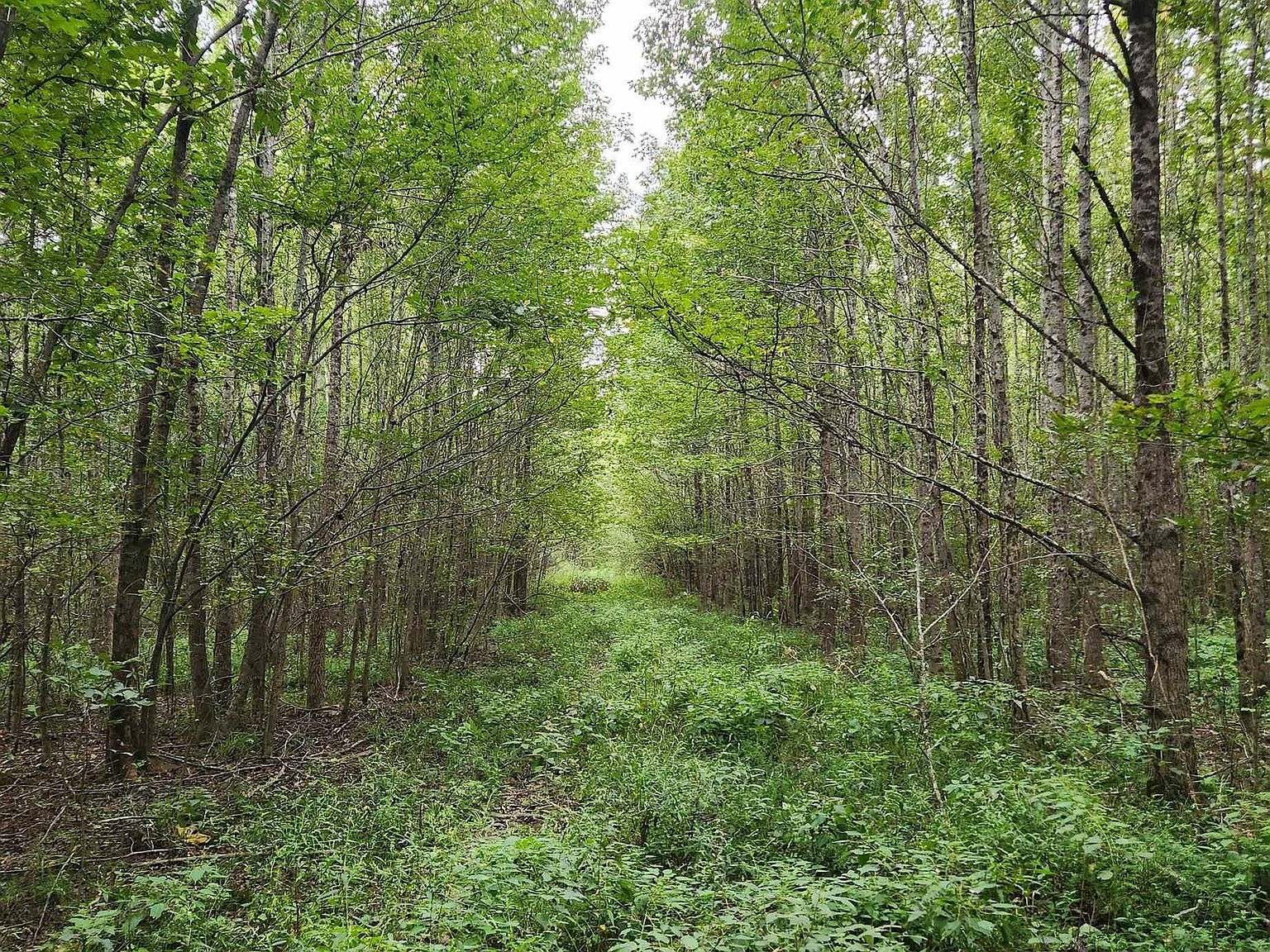 0 State Highway 11 S, Star City, AR 71667 MLS 23028978 Zillow