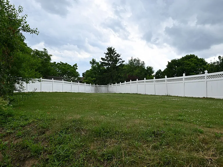 Back yard