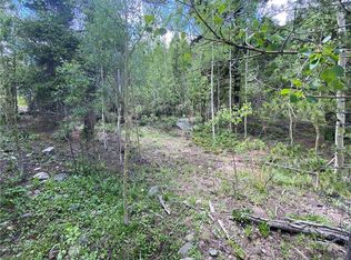 6393 State Highway 9, Breckenridge, CO 80424