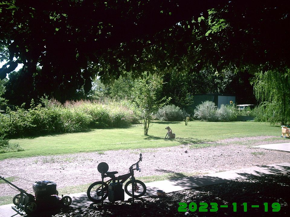 Front yard