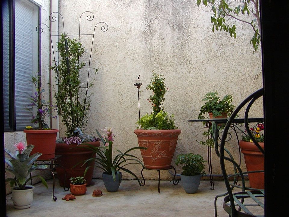 Atrium