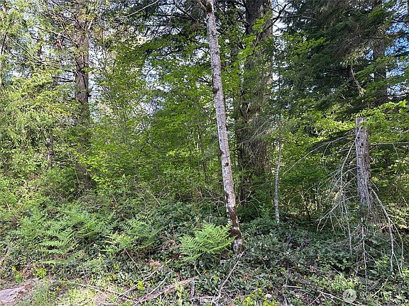 4th image of 0 348th Avenue SE