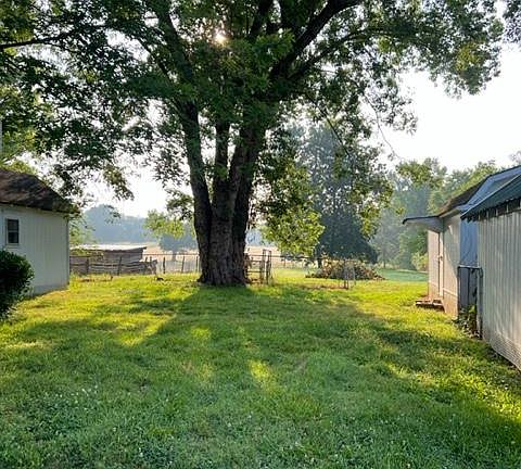 Looking out the back yard to the 2 acre pastures