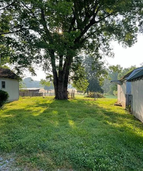 Looking out the back yard to the 2 acre pastures