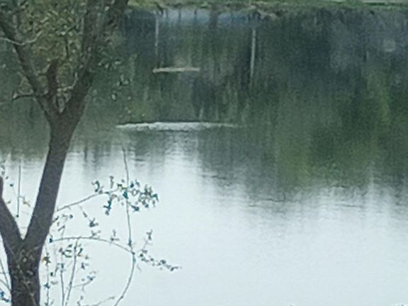 4th image of Banks Dr