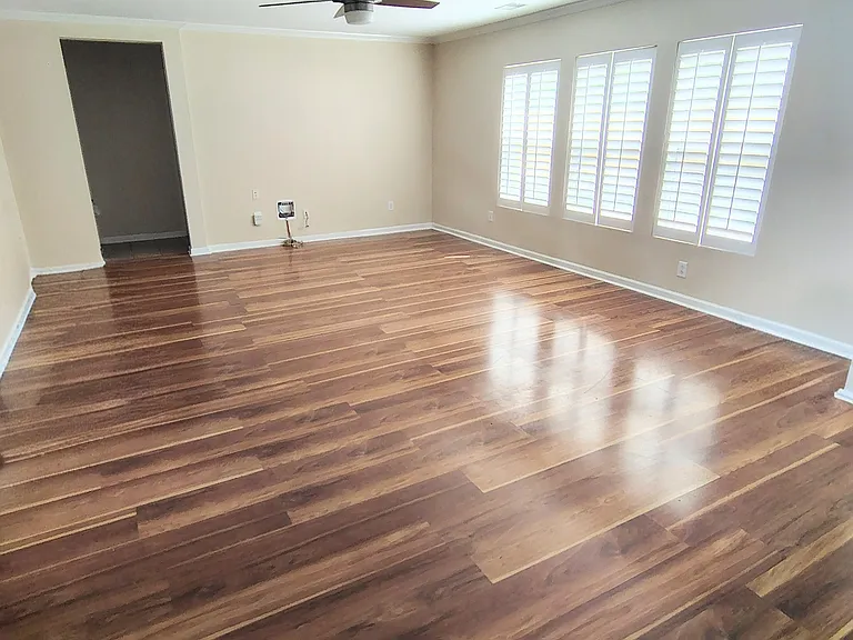 201 Wild Olive Dr — Photo 2