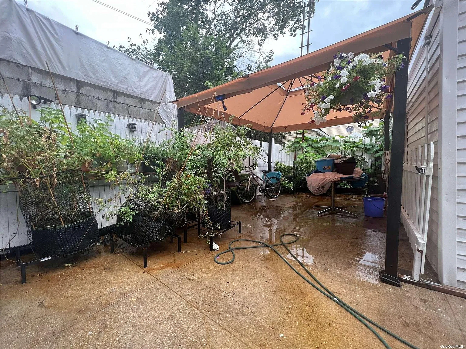4 bed, 1000 sqft, $2,500 — Photo 2