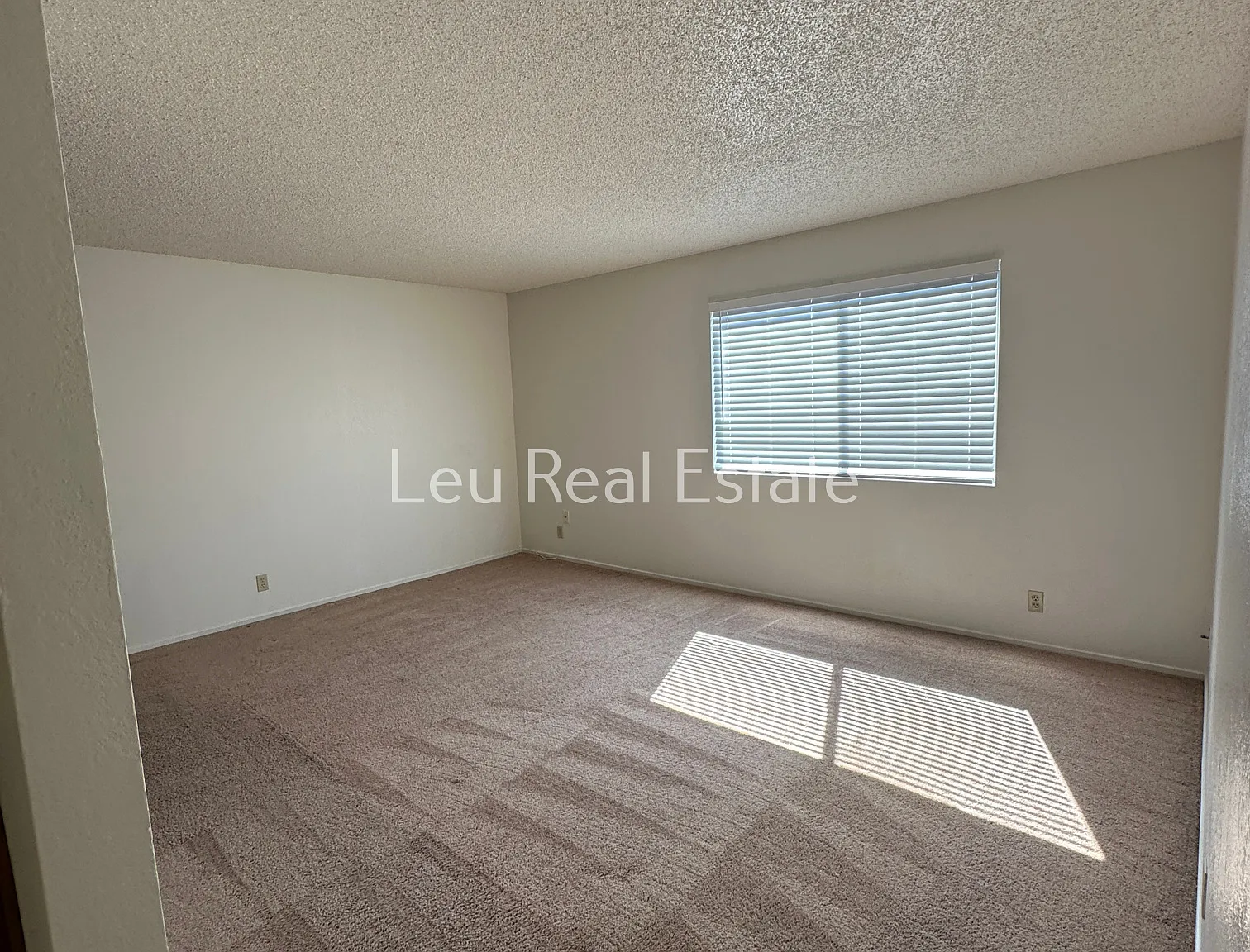 1 bed, 700 sqft, $1,250 — Photo 2