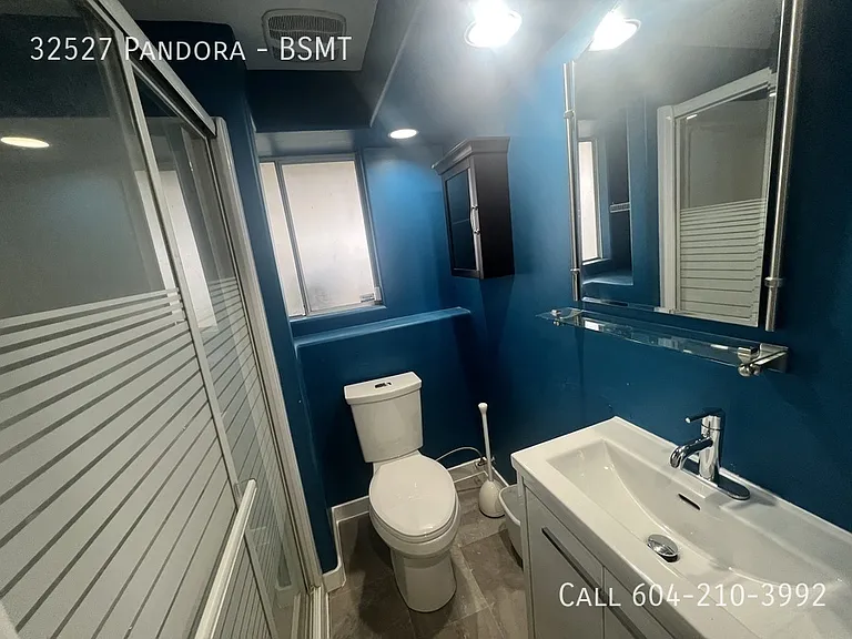 32527 Pandora Ave #BASEMENT — Photo 9